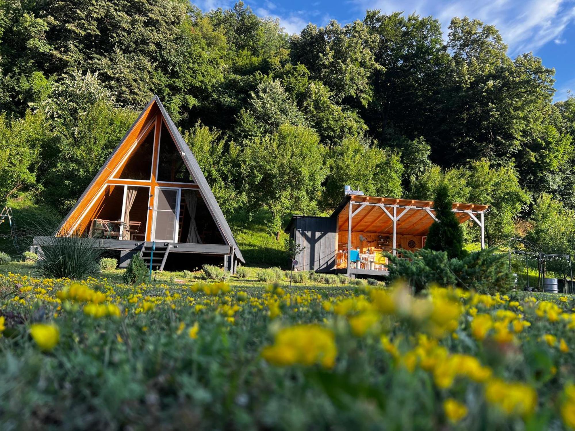 Cabane A-Frame Svinita Exterior photo